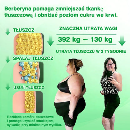 🍀DR.Fachmer® Moringa, Berberyna i NAD+ – nanoplastrowy plaster mikroigłowy 15 w 1 | Nowa generacja pielęgnacji ciała z zaawansowaną nanoformułą 🌿