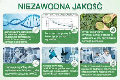 Oficjalny Sklep | 👨‍⚕️ GFOUK® Moringa · Berberyna × NAD+ 10-w-1 Zaawansowane Plastry Nano Mikroigłowe